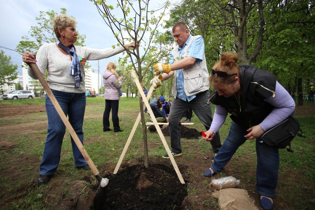 В середине апреля в Москве начнут высаживать деревья и кустарники