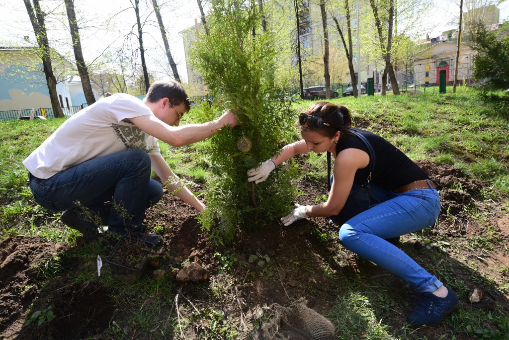Депутаты и экологи проверят деревья на выживаемость в городе