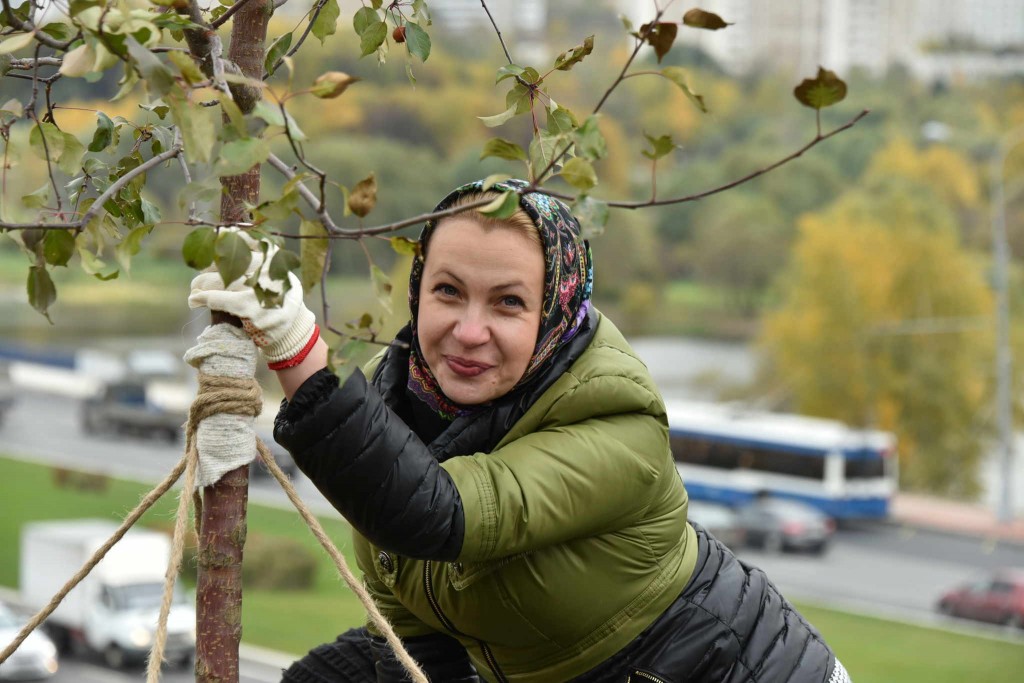 В Москве высадили деревья и кустарники на «Моей улице»