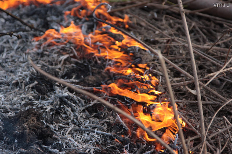 В России официально введен запрет на сжигание сухой травы