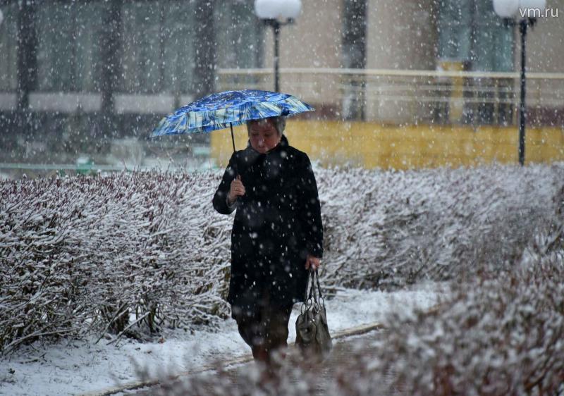 Синоптики обещают снегопад на выходных в столице