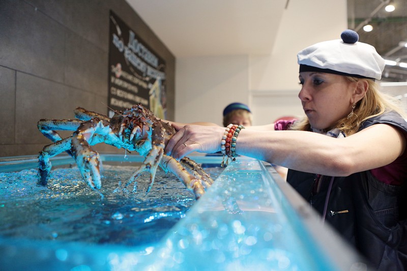 Посетители Дарвиновского музея узнают о секретах океана