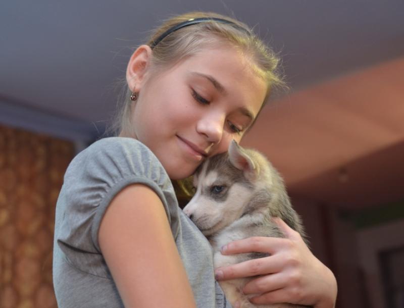 Девочка из Хакасии получила в подарок щенка хаски от Владимира Путина
