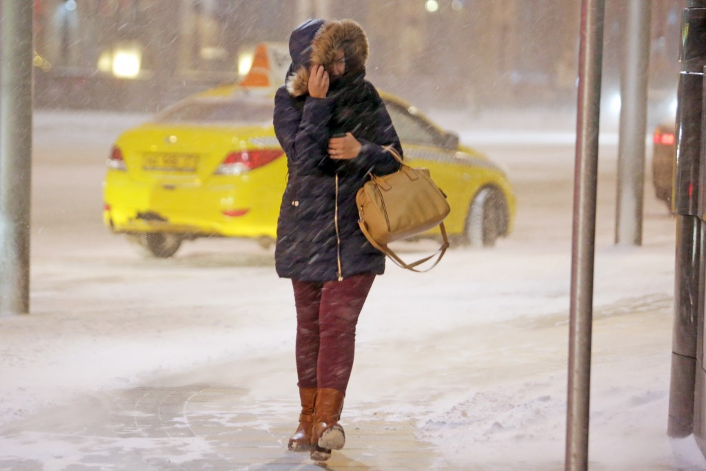 За сутки в Москве выпало почти 20 процентов месячной нормы снега
