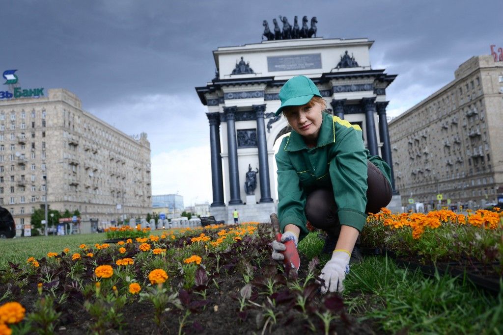 Москвичи решат, какие цветы украсят столицу