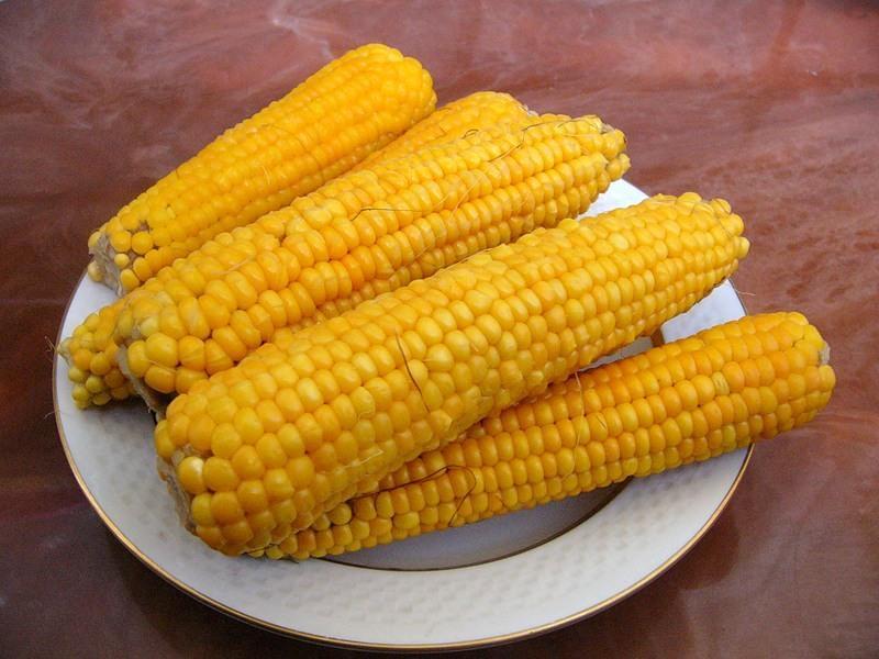 В РФ больше не будут возить кукурузу из США