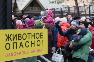 Московский зоопарк 1 января