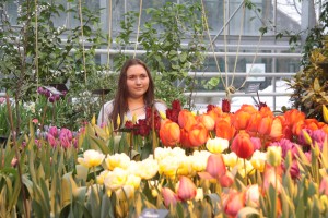 Выставка тюльпанов в ботаническом саду