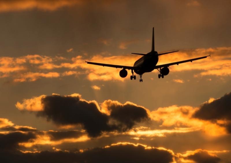 Пассажирка из Индии скончалась на борту самолета, экстренно севшего в Домодедово