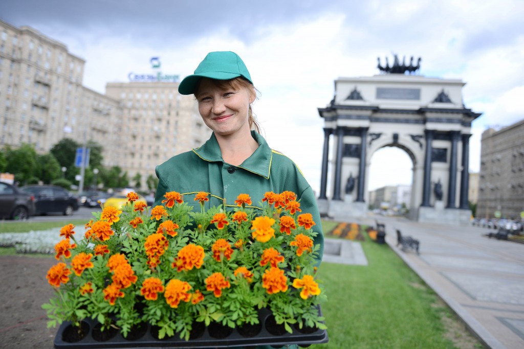 Самое большое количество цветов появится на клумбах в центре Москвы