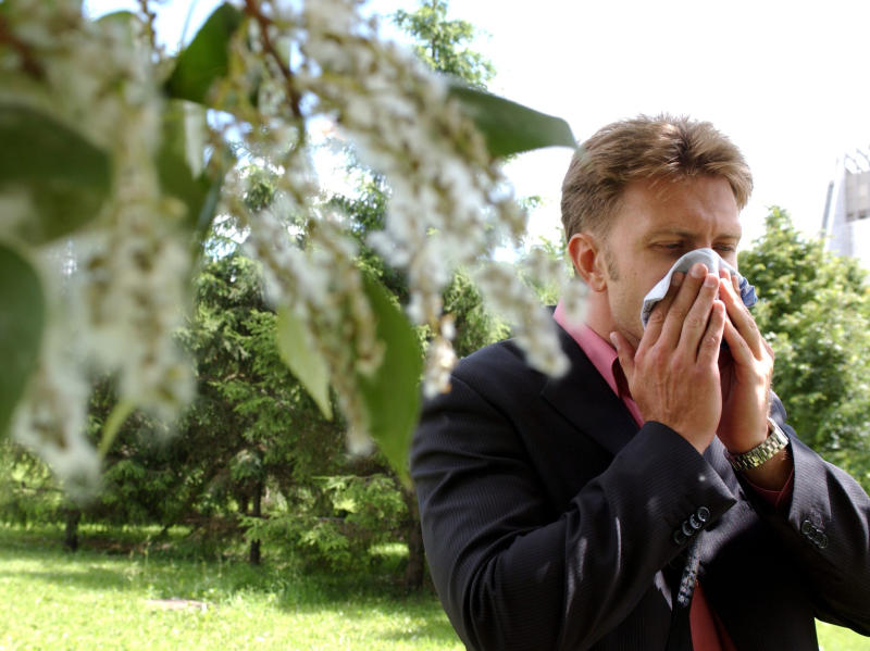 Врачи зафиксировали всплеск сезонной аллергии на пыльцу в Москве