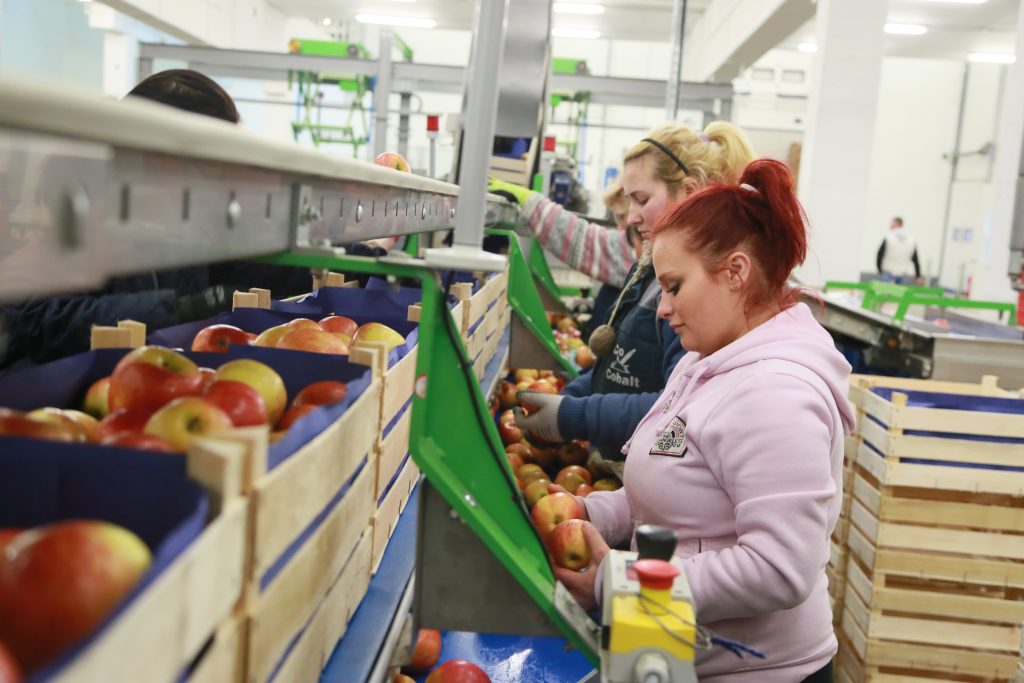 На период празднования Дня России изменится режим работы столичных предприятий торговли