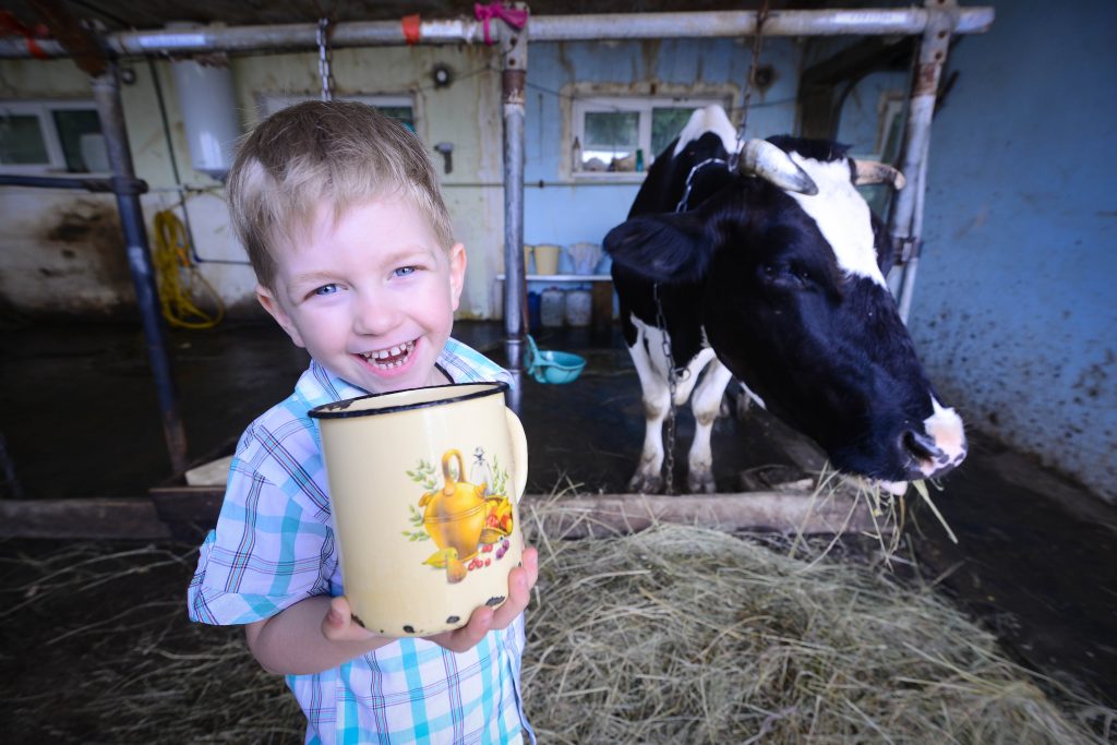 Дата дня: 1 июня – Всемирный день молока