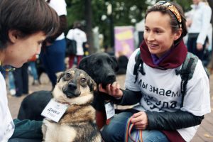 Всех собак, которые приняли участие в выставке «#Всемпособаке», сопровождали кураторы и опекуны