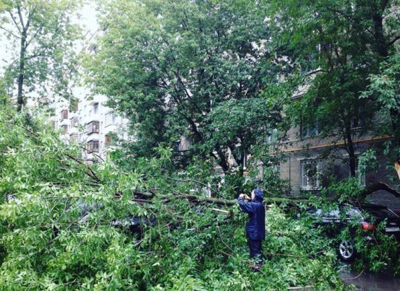 На Нижней Радищевской улице дерево упало на дом
