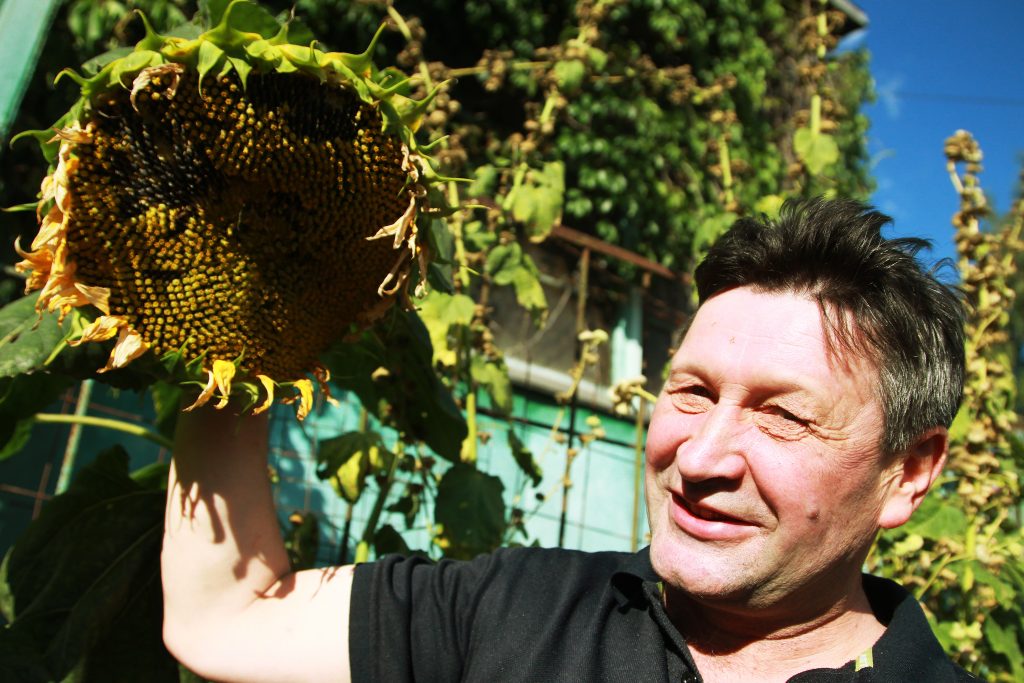 16 августа 2016 года Юрий Логачев разбил настоящий сад-огород