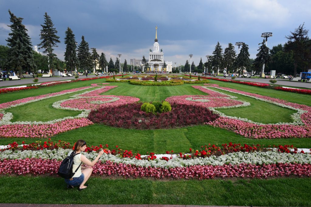 Фестиваль «Цветы-2016»: москвичам покажут робота-садовника