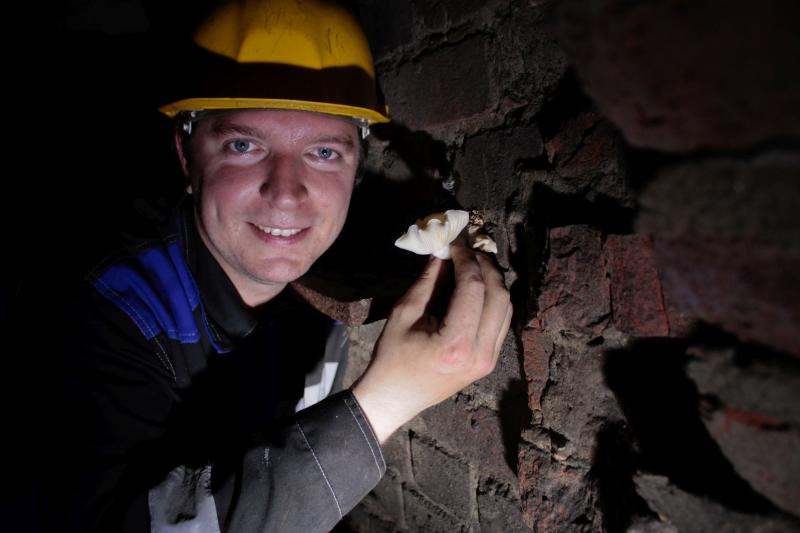 Исследователи обнаружили подземные сокровища малых рек