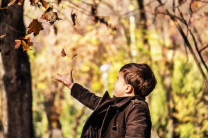 Мальчик подкидывает листья