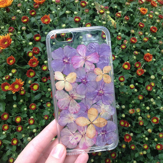 Смартфоны украсят цветами в «Аптекарском огороде»