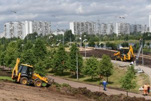 До 2018 года в Москве обустроят 22 парковые территории