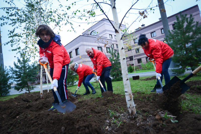 Более 870 деревьев высадят в центре Москвы