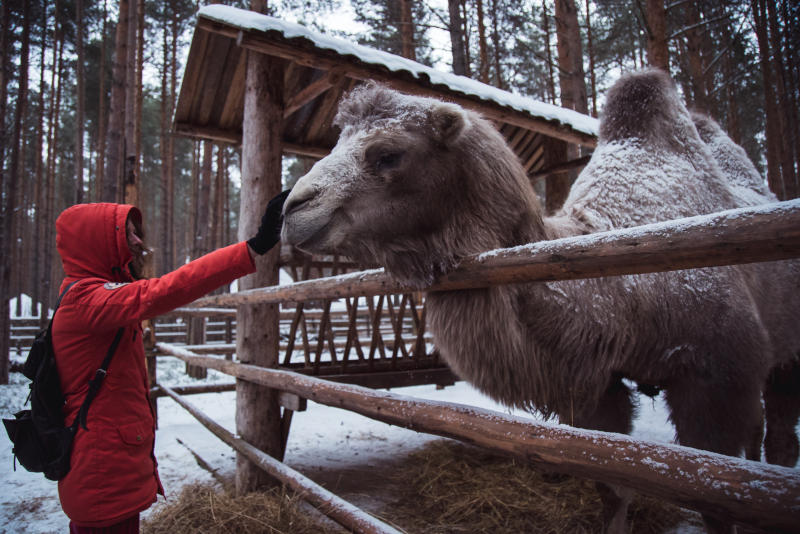 Московский зоопарк запустит экскурсии на английском языке
