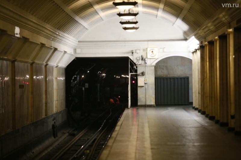 Поезд метро задел пенсионерку. Фото: "Вечерняя Москва"