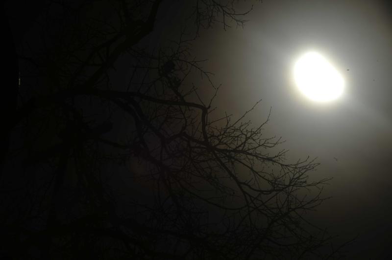 Лунное затмение смогут увидеть москвичи в феврале
