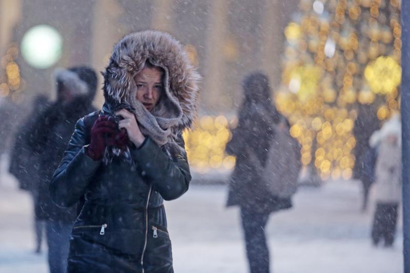 Четверть нормы снега выпала в Москве за два дня