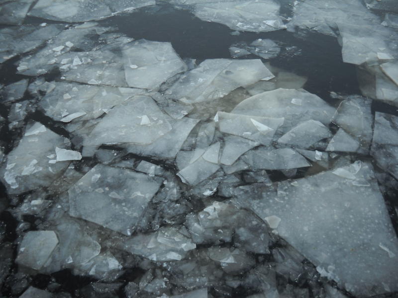 МЧС просит москвичей не выходить на лед