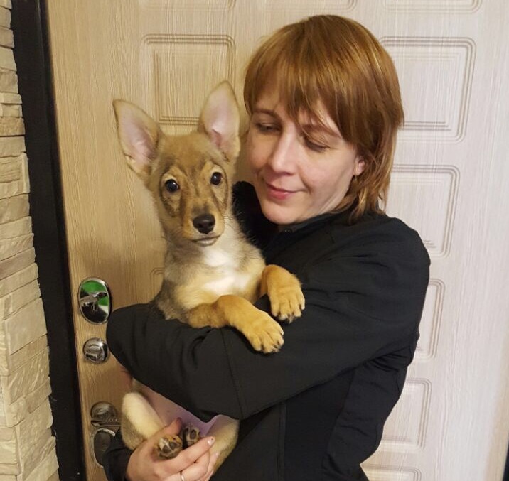12 апреля 2017 года. Светлана Осипцова, спасительница бездомных животных, с собакой