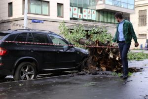 От урагана пострадали люди, машины и деревья. Фото: Максим Аносов, «Вечерняя Москва»