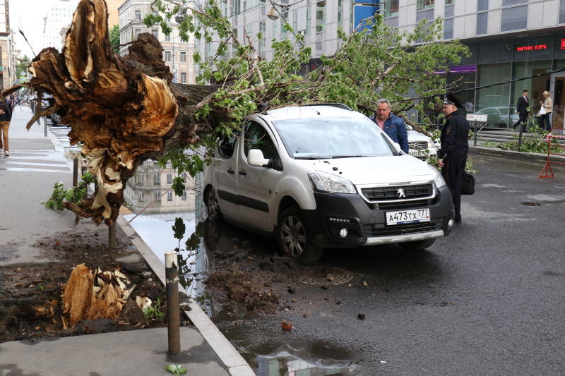 Ущерб автовладельцев от урагана в Москве оценили в 200 миллионов рублей