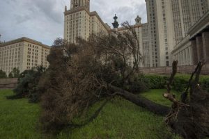 Ураган в Москве повалил более 27 тысяч деревьев. Фото: Артем Житенев