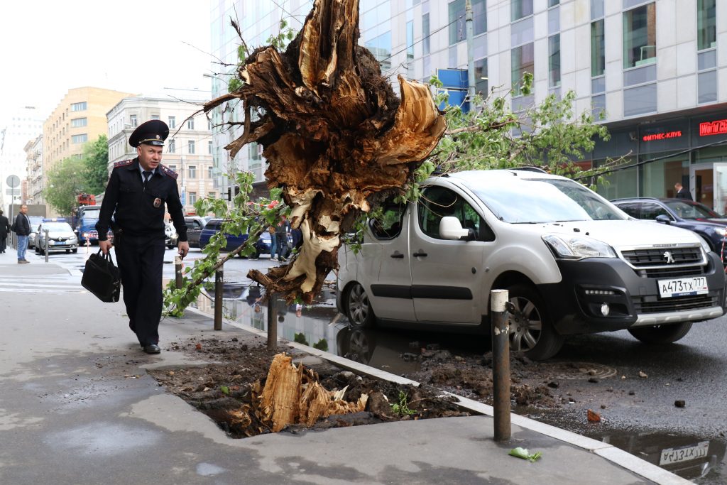 Московский ураган нанес ущерб в 25 миллионов рублей
