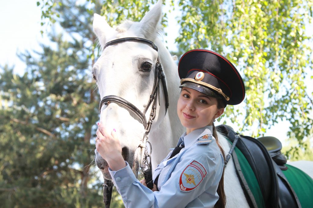 Полиция Москвы закупит 10 орловских скакунов