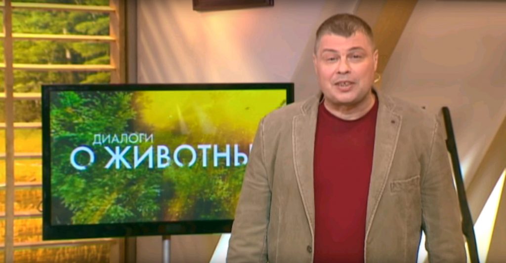 Телеведущий и журналист Иван Затевахин. Фото: скриншот с youtube