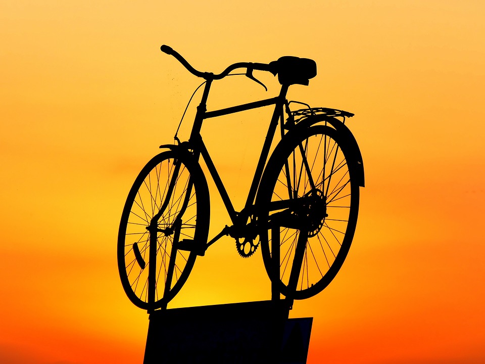 Велопробег стартовал от памятника Карлу Марксу на Театральной площади и завершился на Чистых прудах. Фото: pixabay.com