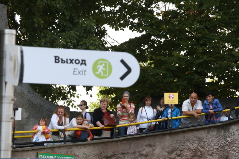 Участники тура за день побывали в Московском зоопарке, комплексе «Лужники» и ВДНХ. Фото: "Вечерняя Москва"