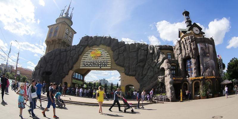 Московский зоопарк открывает бесплатные «прогулки с директором»