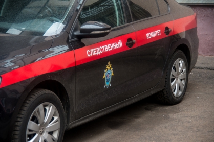 Уголовное дело возбуждено после убийства двухлетнего ребенка в Москве