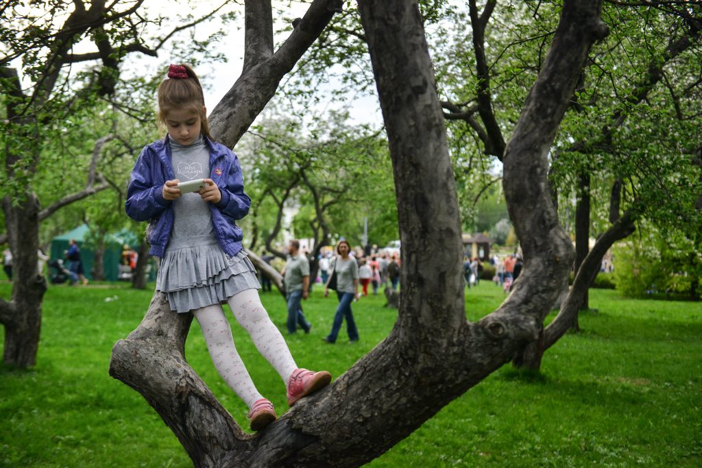 Более 100 парков благоустроят ко Дню города