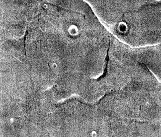 NASA показало миру «Марс с человеческим лицом»