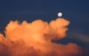 Понаблюдать за дневной Луной в Парке неба можно 26, 27 и 28 июля с 12:00 до 19:00. Фото: pixabay.com