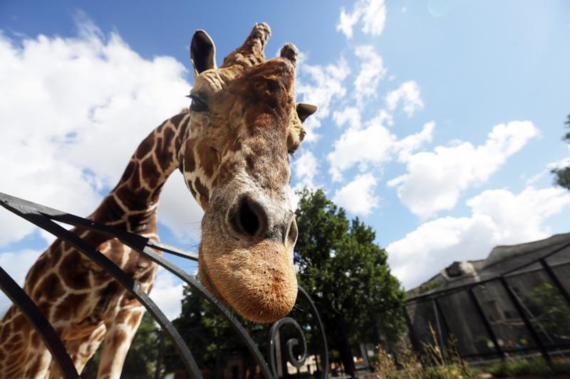 Более 800 человек посетили занятия с элементами зоотерапии в Московском зоопарке