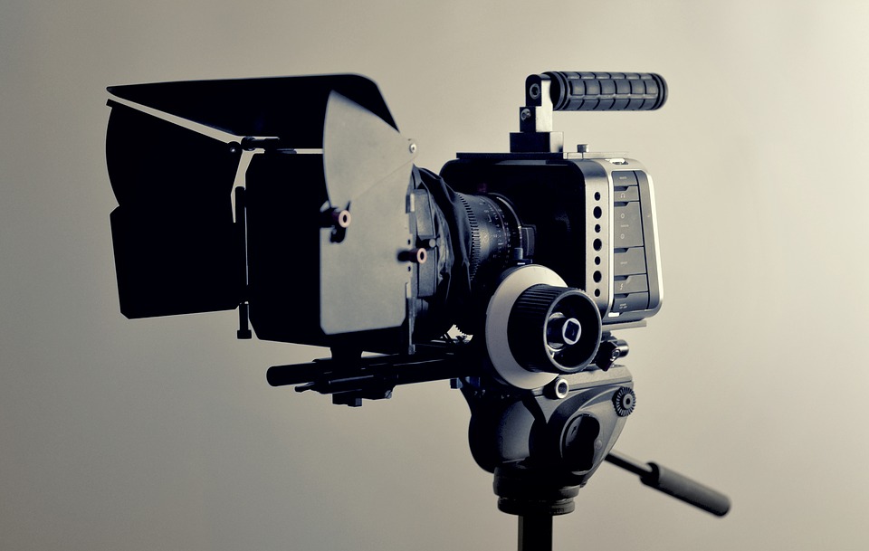 все желающие смогут бесплатно посетить кинопоказы полнометражных и короткометражных фильмов, документального кино и анимации. Фото: pixabay.com