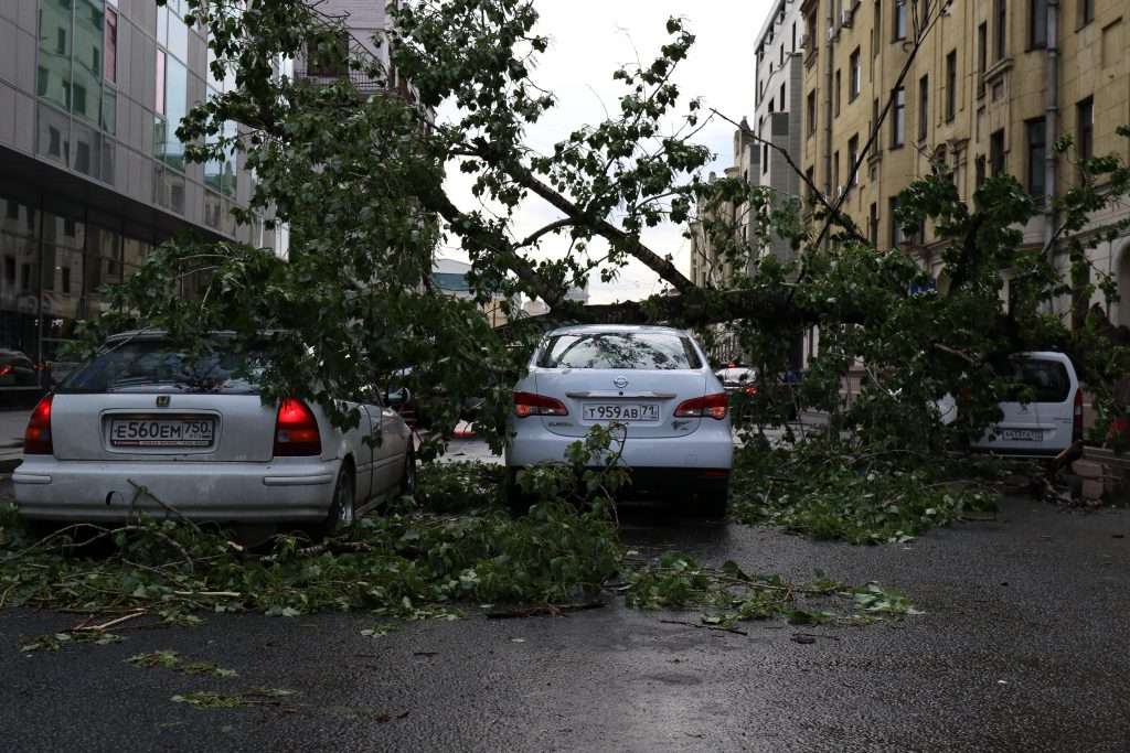 ЦОДД уведомил московских водителей о возможных авариях из-за ветра