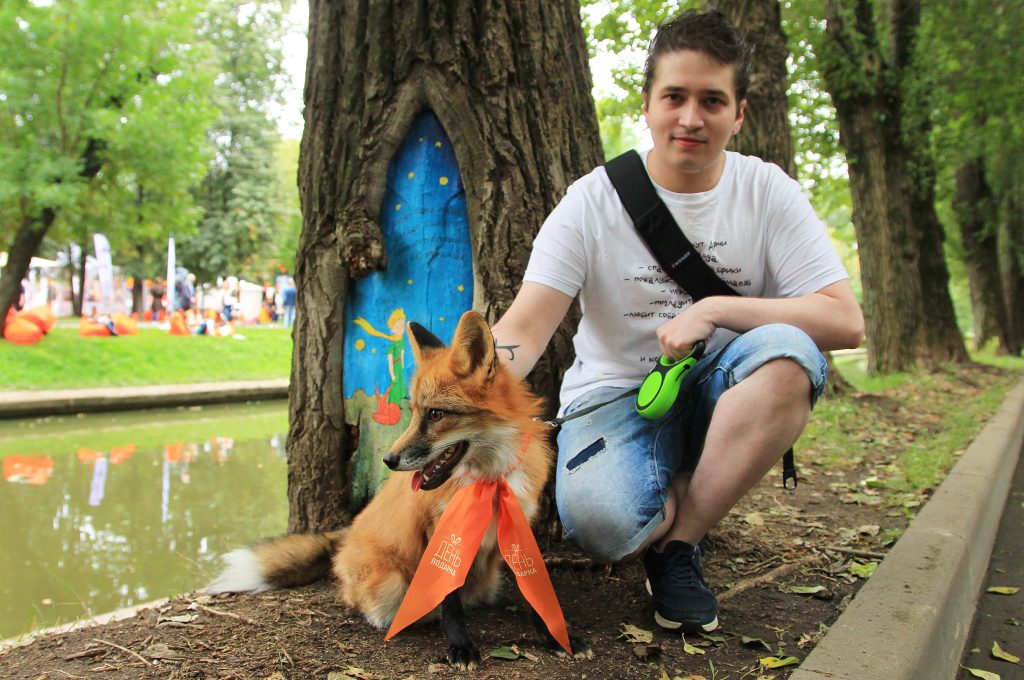 26 августа 2017 года. Виталий Гусев и лис Арчи в парке "Красная Пресня". Местные жители посвятили друзьям картину на дереве