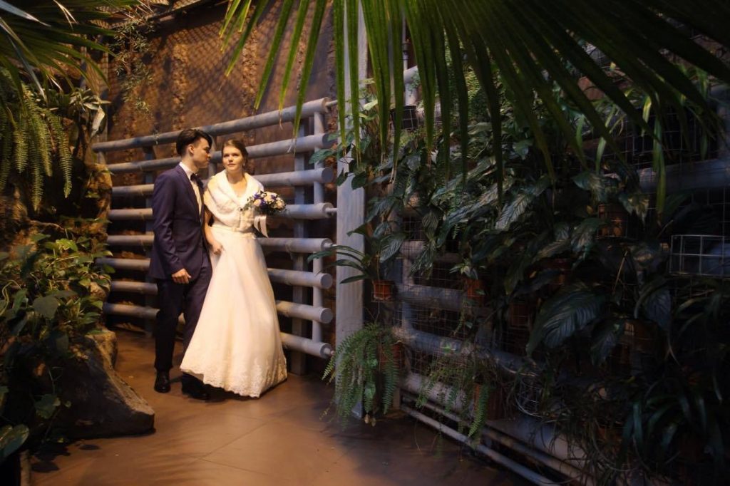 Первая свадебная церемония прошла в Московском зоопарке